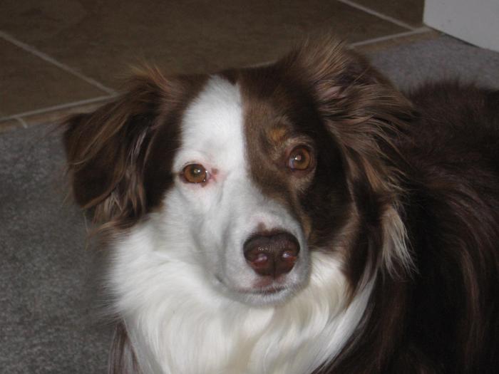 Buster