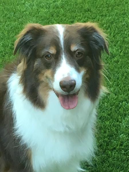 Roxie