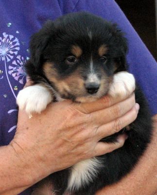 Four weeks old...