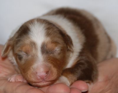 One week old...