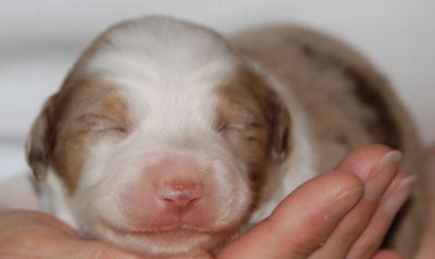 One week old...