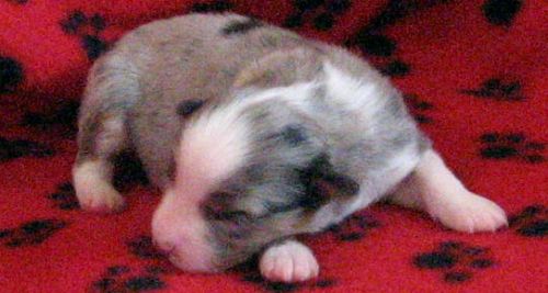 One week old...