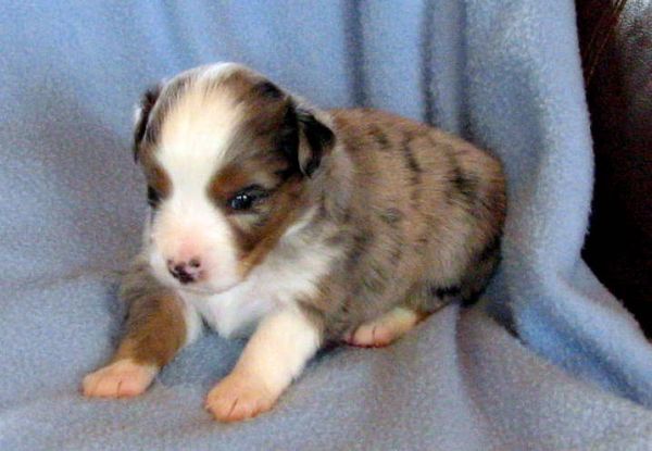 Three weeks old...