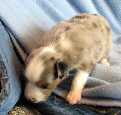 Three weeks old...