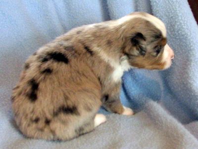 Three weeks old...