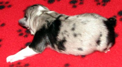 One day old...