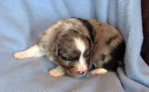 Three weeks old...