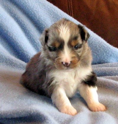 Three weeks old...