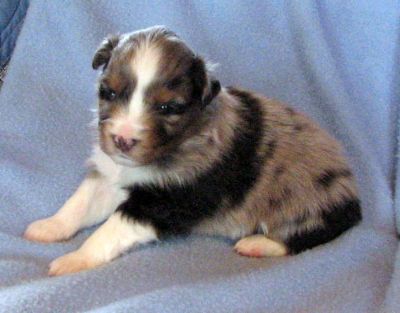 Three weeks old...