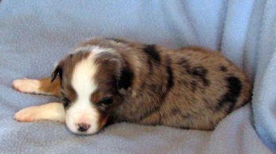 Three weeks old...
