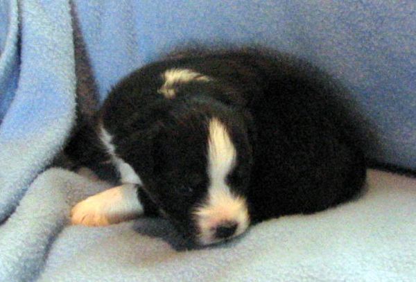 Three weeks old...