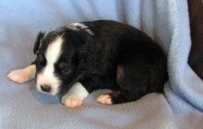 Three weeks old...