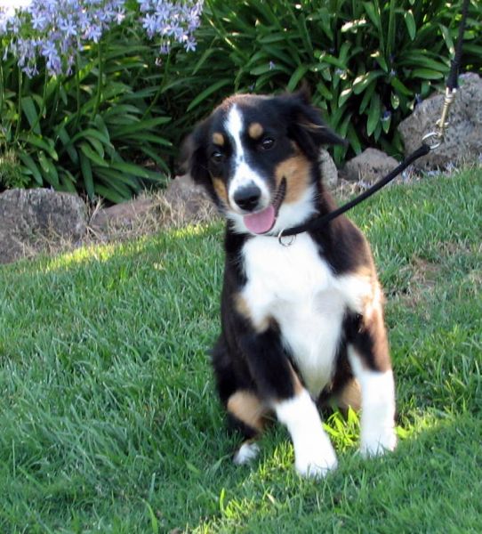 Five months old...