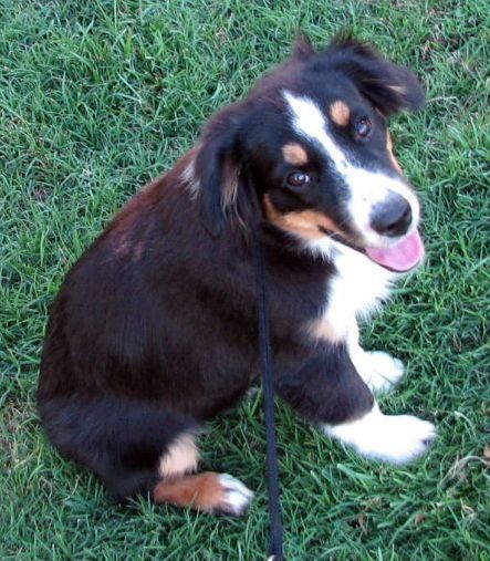 Five months old...