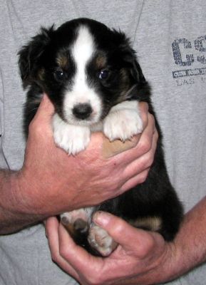 Five weeks old...