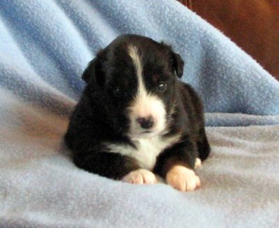 Three weeks old...