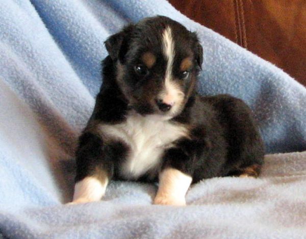 Three weeks old...