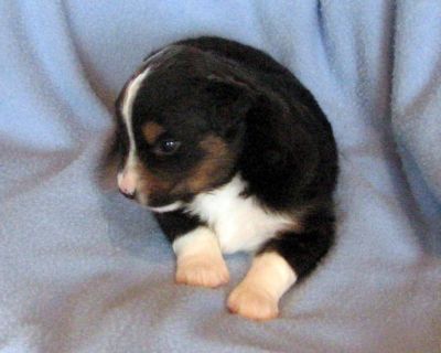Three weeks old...