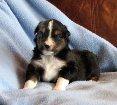 Three weeks old...