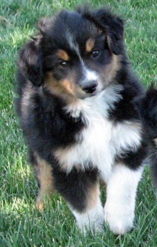Nine weeks old...