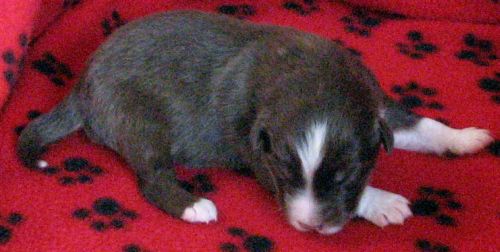 One week old...