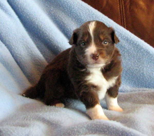 Three weeks old...