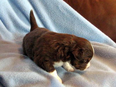 Three weeks old...