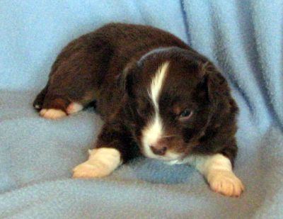 Three weeks old...