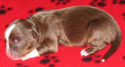One day old...