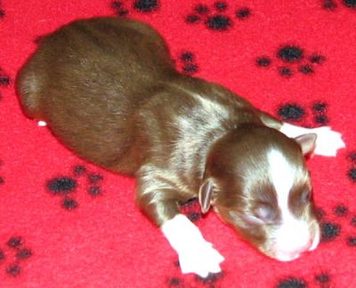 One day old...