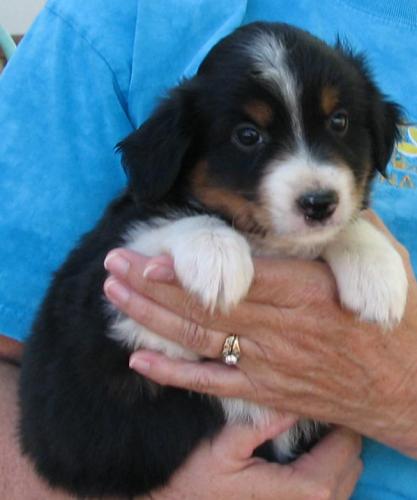 Six weeks old...