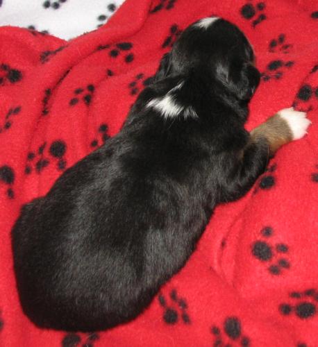 Two weeks old...