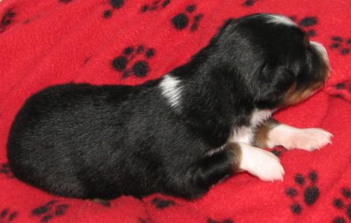 Two weeks old...