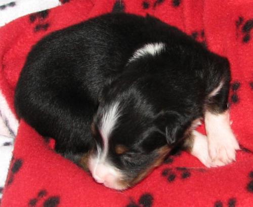 Two weeks old...