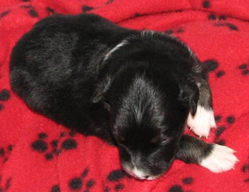 Two weeks old...