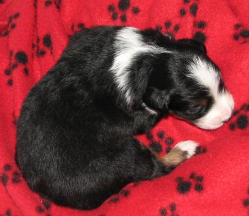 Two weeks old...