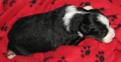 Two weeks old...