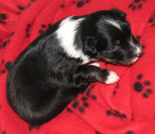 Two weeks old...