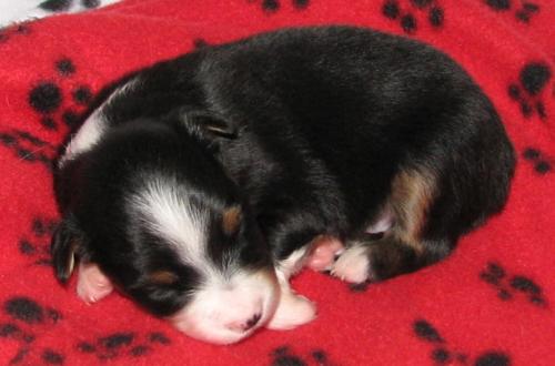 Two weeks old...