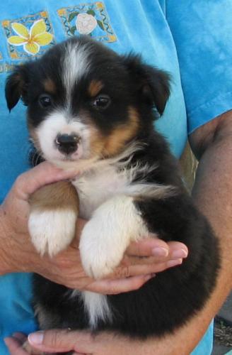 Six weeks old...