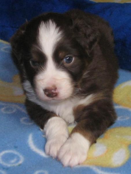 4 weeks old