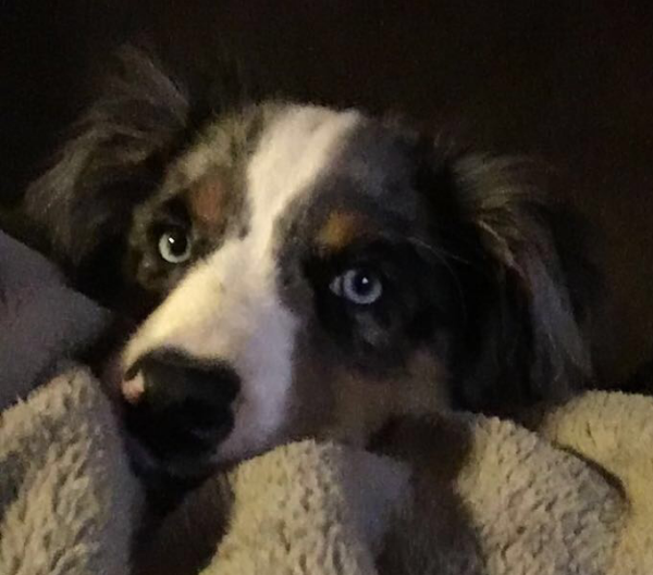 Blu
