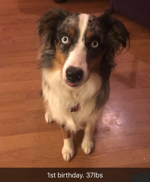 Blu