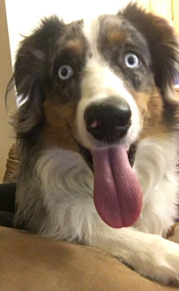 Blu