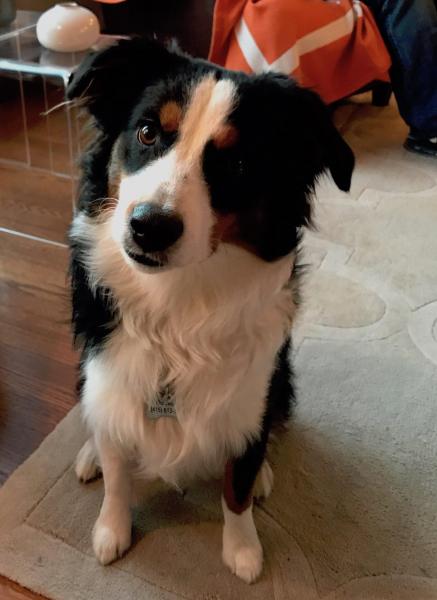 Tucker