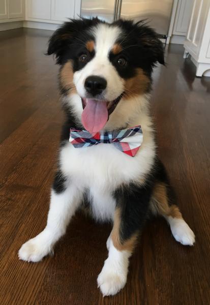 Tucker