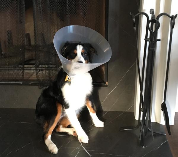 Tucker