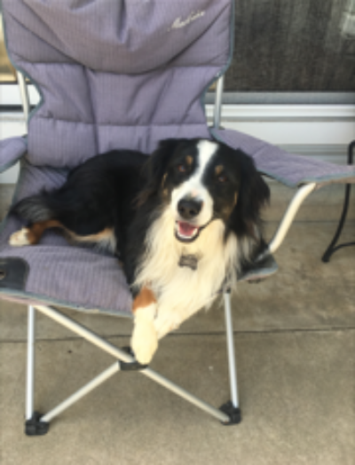 One year old!