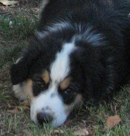 12 weeks
