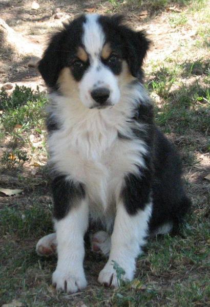 12 weeks